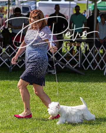 20190608-DSC02346