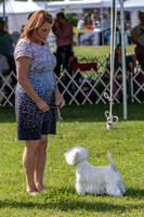 20190608-DSC02358-Edit