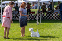 20190608-DSC02360