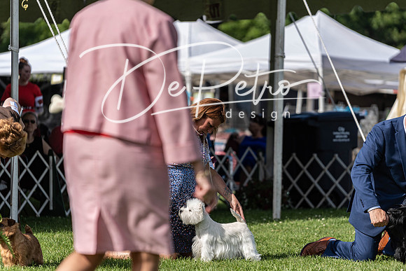 20190608-DSC02535