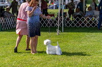 20190608-DSC02361