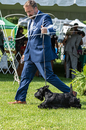 20190608-DSC02386