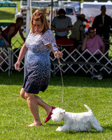 20190608-DSC02348
