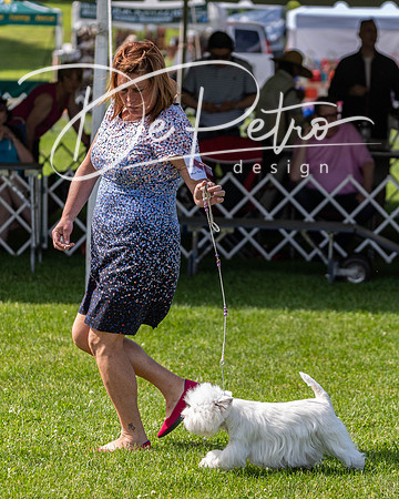 20190608-DSC02348