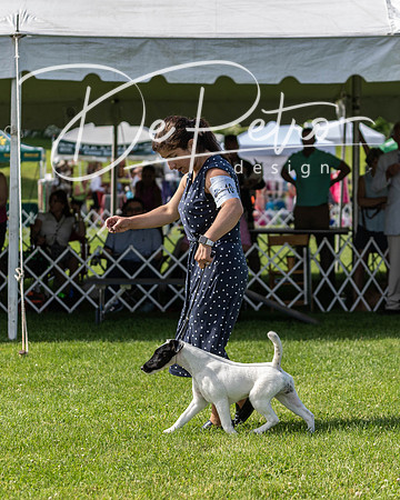 20190608-DSC02430