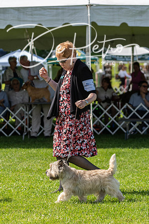 20190608-DSC02478