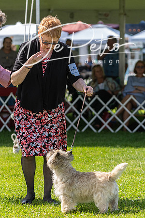 20190608-DSC02488