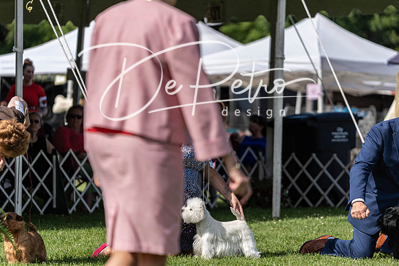 20190608-DSC02536