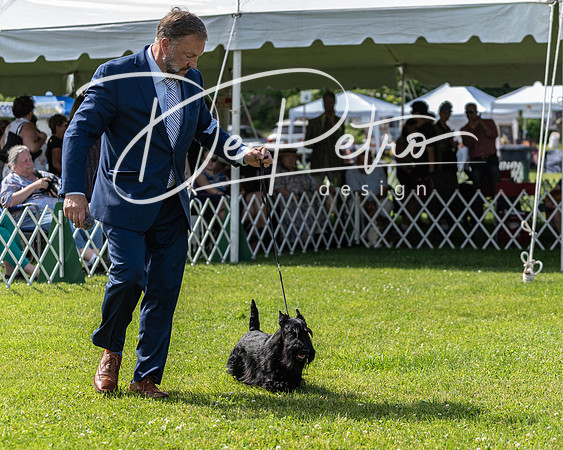 20190608-DSC02413