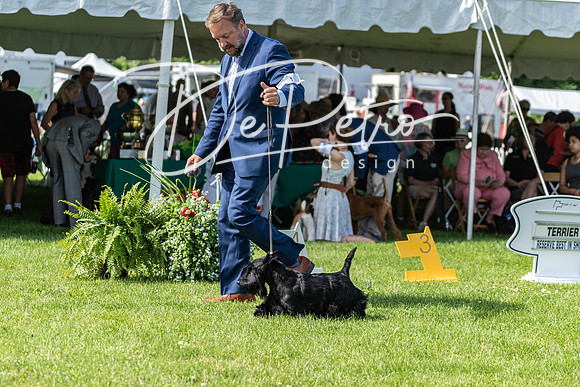 20190608-DSC02380