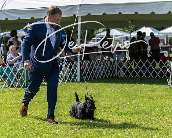 20190608-DSC02412