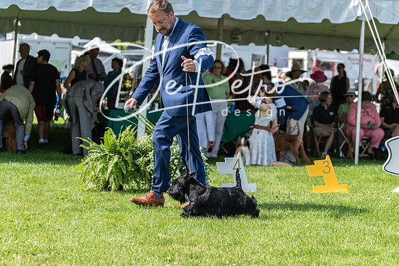 20190608-DSC02381
