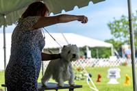 20190608-DSC02333