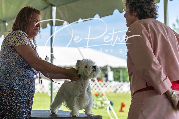 20190608-DSC02340