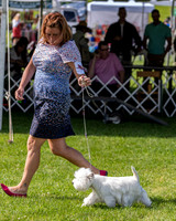 20190608-DSC02347