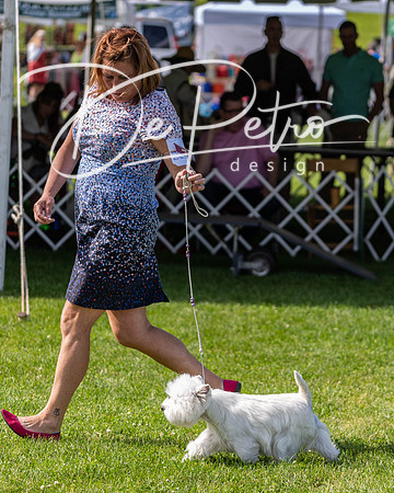 20190608-DSC02347