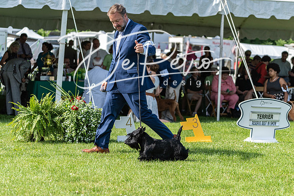 20190608-DSC02379