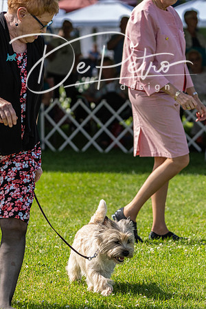 20190608-DSC02494