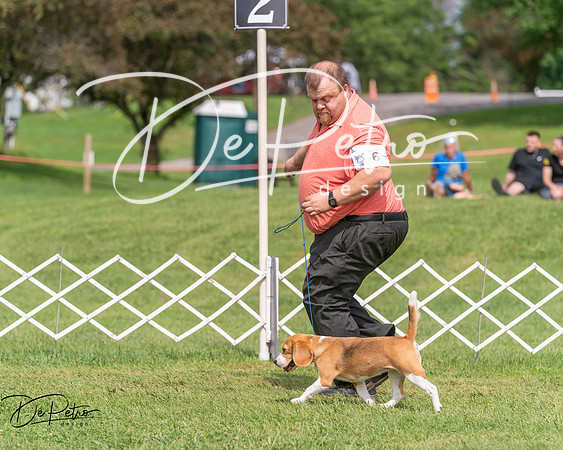 20250628-DSC08350