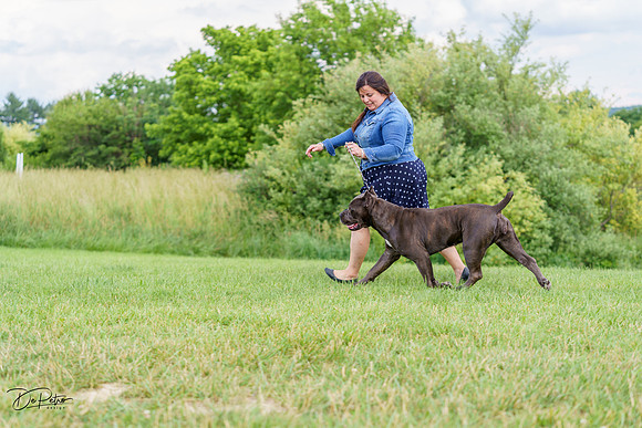 20220611-DSC02495