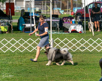 20240913-DSC00073
