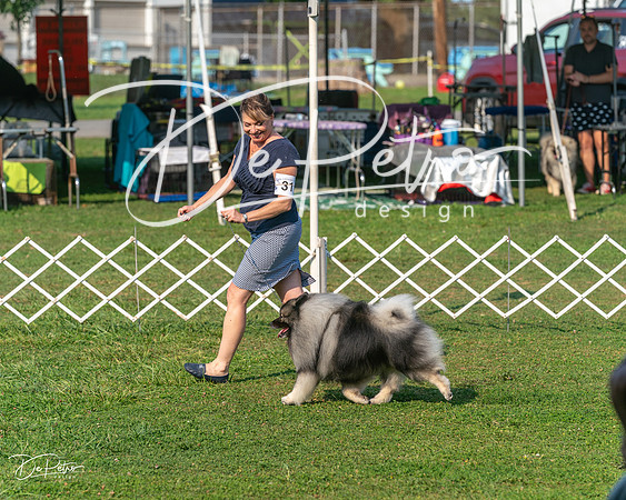 20240913-DSC00073