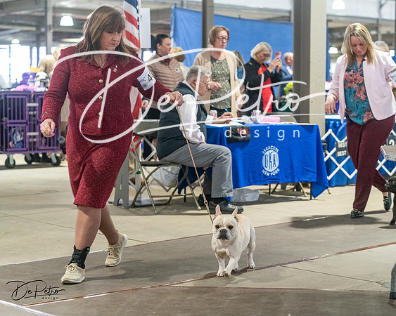 20240328-DSC00034