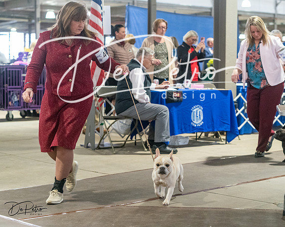 20240328-DSC00035