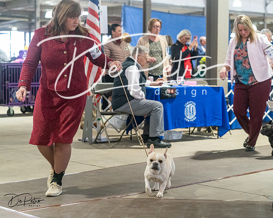 20240328-DSC00036