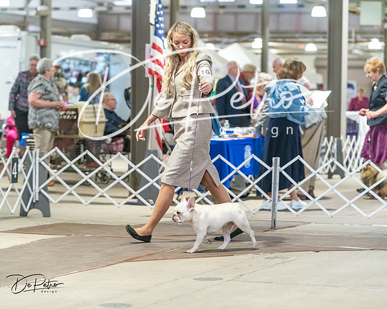 20240328-DSC00048