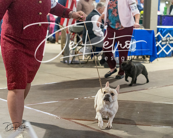 20240328-DSC00044