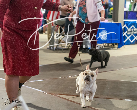 20240328-DSC00046