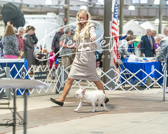 20240328-DSC00057