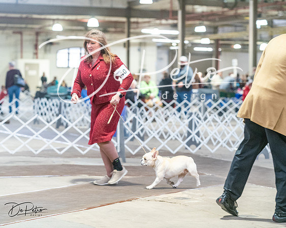 20240328-DSC00089