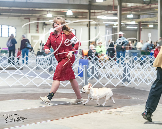 20240328-DSC00091