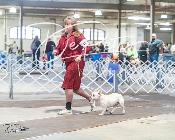 20240328-DSC00094