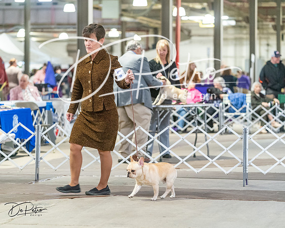20240328-DSC00126