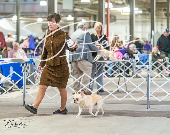 20240328-DSC00127