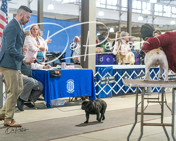 20240328-DSC00189