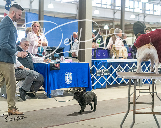 20240328-DSC00192