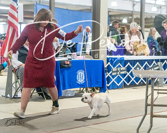 20240328-DSC00211