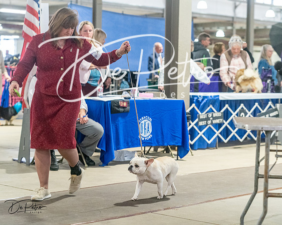 20240328-DSC00214