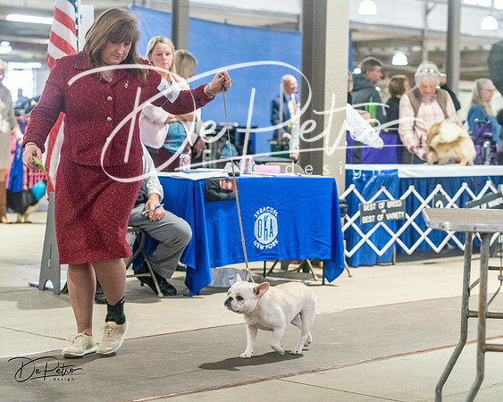 20240328-DSC00215