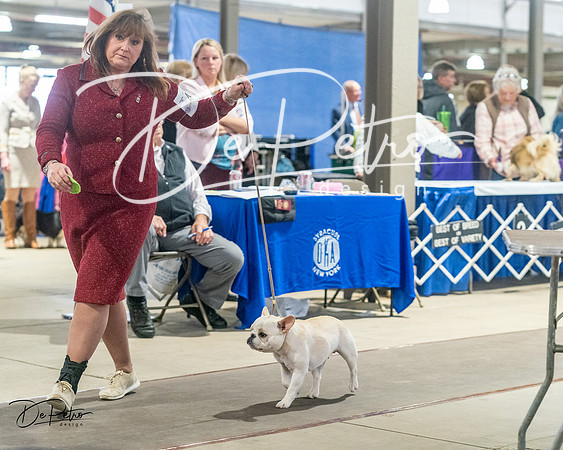 20240328-DSC00218