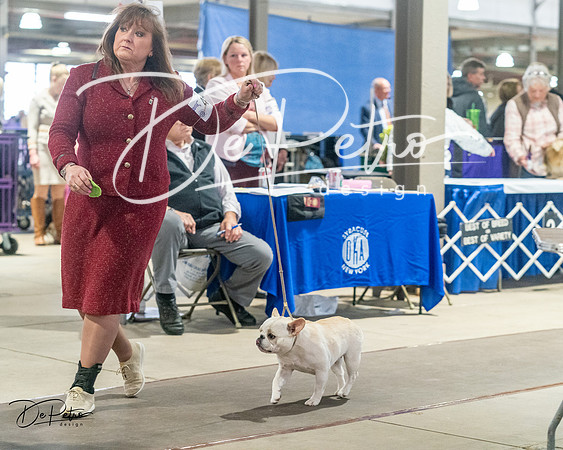 20240328-DSC00220