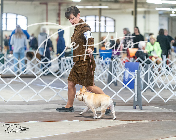 20240328-DSC00235