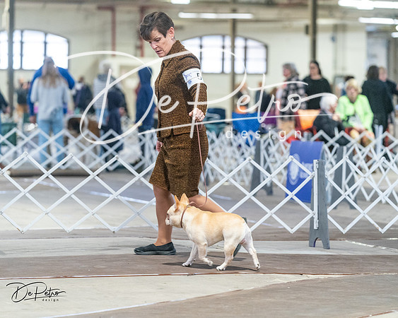 20240328-DSC00236