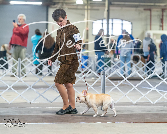 20240328-DSC00255