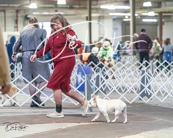 20240328-DSC00334