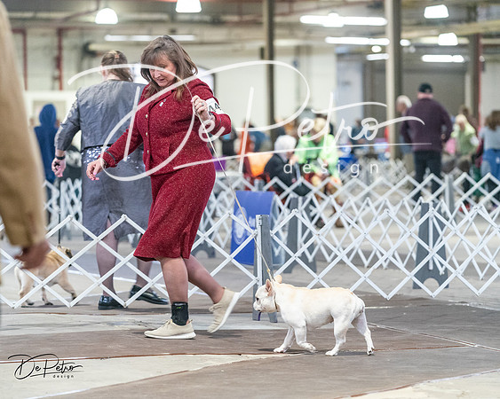 20240328-DSC00335